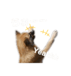ムサシの⭐️む vol.2（個別スタンプ：2）