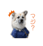 ムサシの⭐️む vol.2（個別スタンプ：3）