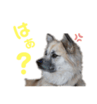 ムサシの⭐️む vol.2（個別スタンプ：13）