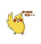 ことりLife〜オカメインコ2〜（個別スタンプ：2）