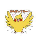 ことりLife〜オカメインコ2〜（個別スタンプ：3）