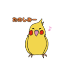 ことりLife〜オカメインコ2〜（個別スタンプ：4）