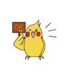 ことりLife〜オカメインコ2〜（個別スタンプ：5）