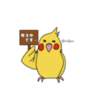 ことりLife〜オカメインコ2〜（個別スタンプ：6）
