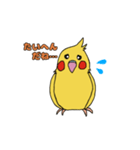 ことりLife〜オカメインコ2〜（個別スタンプ：7）