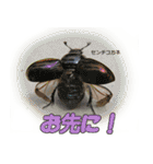 バグズスタンプ（個別スタンプ：1）