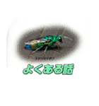 バグズスタンプ（個別スタンプ：7）