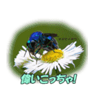 バグズスタンプ（個別スタンプ：8）