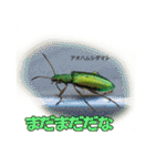バグズスタンプ（個別スタンプ：11）