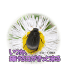 バグズスタンプ（個別スタンプ：16）