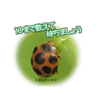 バグズスタンプ（個別スタンプ：18）