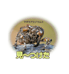 バグズスタンプ（個別スタンプ：22）
