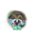 バグズスタンプ（個別スタンプ：26）