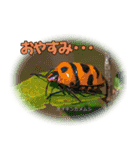 バグズスタンプ（個別スタンプ：32）