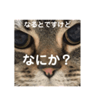 なるとなるとなると（個別スタンプ：1）