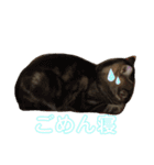 なるとなるとなると（個別スタンプ：10）