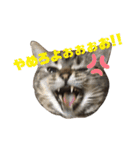 なるとなるとなると（個別スタンプ：11）