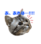 なるとなるとなると（個別スタンプ：16）
