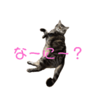 なるとなるとなると（個別スタンプ：17）