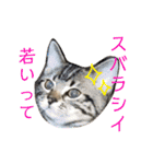 なるとなるとなると（個別スタンプ：21）