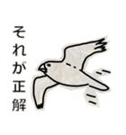 ネコとトリ ep4（個別スタンプ：12）