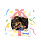 ベルandリン（個別スタンプ：5）