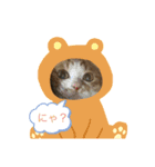 ベルandリン（個別スタンプ：7）
