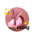 kokko_a(2)（個別スタンプ：2）