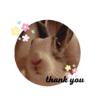 kokko_a(2)（個別スタンプ：3）