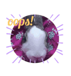 kokko_a(2)（個別スタンプ：9）