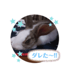 kokko_a(2)（個別スタンプ：12）