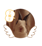 kokko_a(2)（個別スタンプ：14）