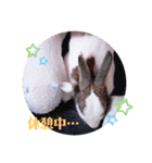 kokko_a(2)（個別スタンプ：15）