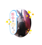 kokko_a(2)（個別スタンプ：22）