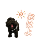 ろっくろっくろっく（個別スタンプ：1）