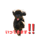 ろっくろっくろっく（個別スタンプ：2）