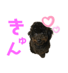 ろっくろっくろっく（個別スタンプ：3）