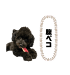 ろっくろっくろっく（個別スタンプ：11）