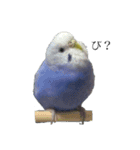 おもちとおこめ3（個別スタンプ：22）