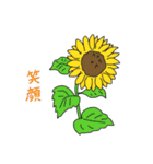 花のごあいさつ（個別スタンプ：1）