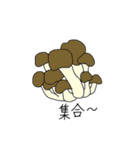 花のごあいさつ（個別スタンプ：21）