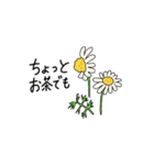 花のごあいさつ（個別スタンプ：24）