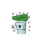 コアラ〜ん（個別スタンプ：6）