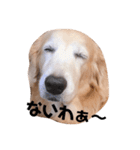 カンナすたんぷ（個別スタンプ：2）