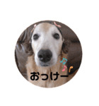 カンナすたんぷ（個別スタンプ：5）