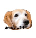 カンナすたんぷ（個別スタンプ：11）
