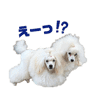 ひまはてわたおにの大冒険 第2弾（個別スタンプ：13）