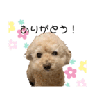 ティナのきもち。2（個別スタンプ：2）
