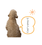 ティナのきもち。2（個別スタンプ：4）