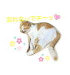 トラチワちゃん♪♪♪♪♪♪（個別スタンプ：8）